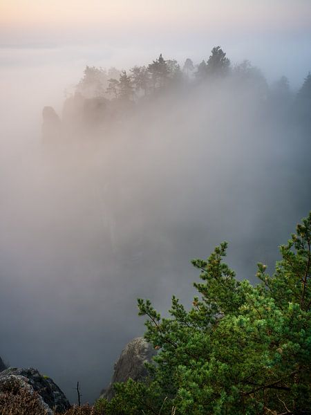 Sächsische Schweiz im Nebel von t.ART