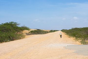 Desert Cyclist von Oscar Leemhuis