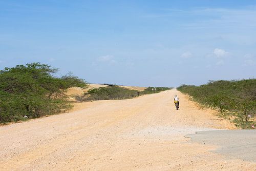 Desert Cyclist