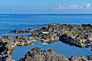 Blauwe poëzie van de Ionische Zee
