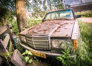 Oude achtergelaten Mercedes Benz van Danny den Breejen thumbnail