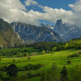 Picos de Europa - Naranjo de Bulnes spring landscape by Teun Ruijters