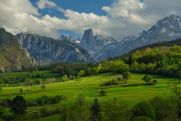 Picos de Europa - Naranjo de Bulnes lente landschap