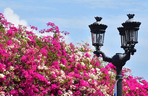Een lantaarnpaal van de stad