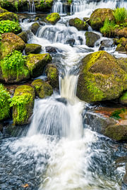 Een uitzicht op de prachtige Triberg-waterval in het Zwarte Woud