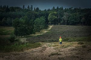 Het Enge Bos