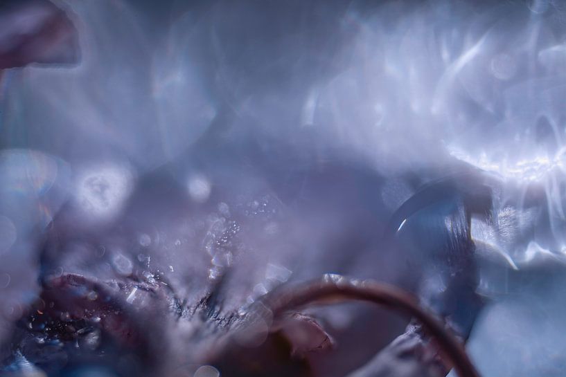 Abstracte Bloem | Blauw en Paars | Natuurfoto van Nanda Bussers