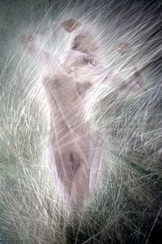 Chuchotements d'herbe 4 sur Fotokompost von Lichtgestalt