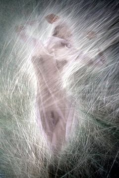 Gras fluistert 4 van Fotokompost von Lichtgestalt