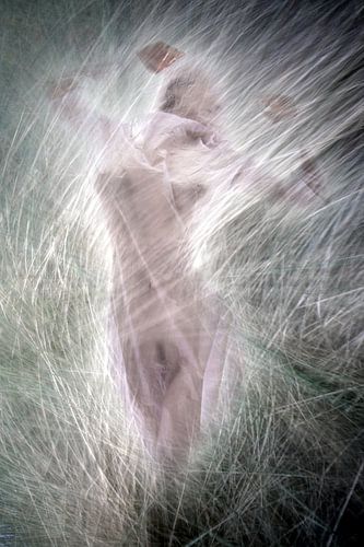 Grasgeflüster 4 von Fotokompost von Lichtgestalt