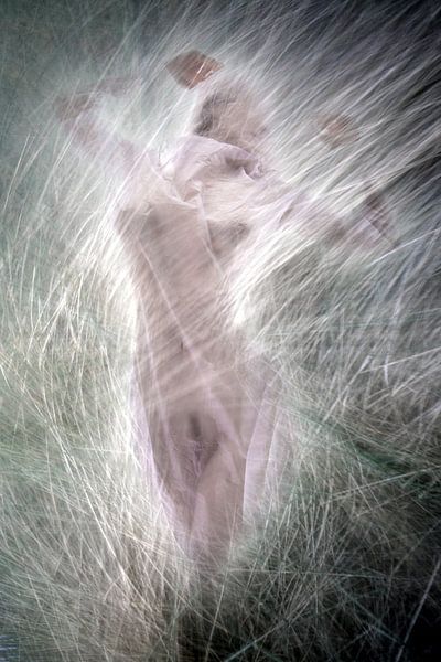 Grass whispers 4 by Fotokompost von Lichtgestalt