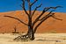 Sossusvlei Namibië (12) van Adelheid Smitt