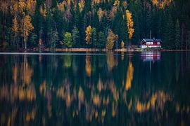 Wooden house among the trees by Martijn Smeets