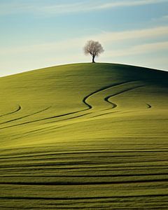 Ästhetischer Minimalismus
