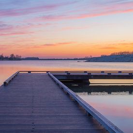 Reed Puddle, Emmen by Rene Mensen