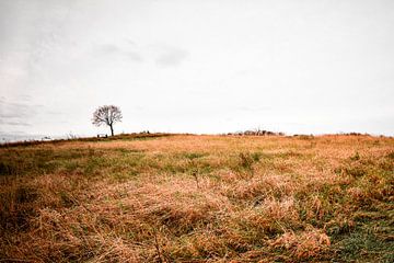 L'endroit le plus calme de la journée