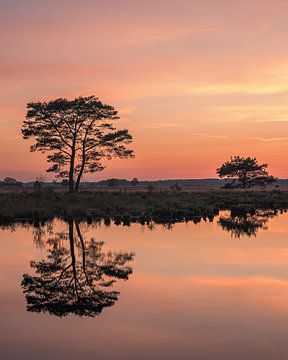 Coucher de soleil dans le Dwingelderveld sur Henk Meijer Photography