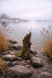 Nebelstille am Kochelsee von Christina Bauer Photos