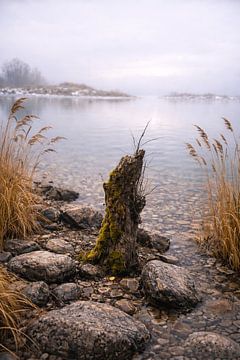Mistige stilte aan het Kochelmeer