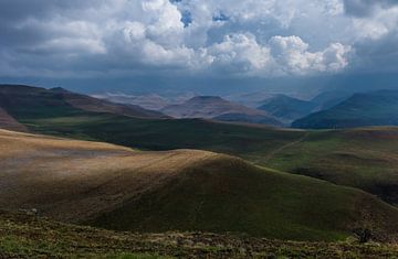 Drakensbergen Zuid-Afrika van Timo Bergenhenegouwen