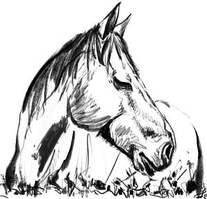 Cheval Naomi