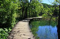 Nationalpark Plitvicer Seen, Kroatien van Renate Knapp thumbnail