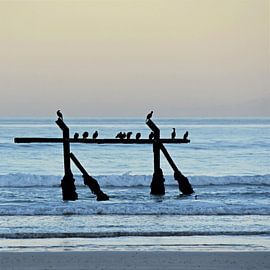 Sunrise over False Bay in Strand by Werner Lehmann