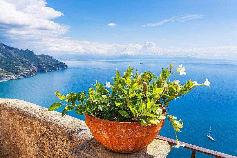 Blumentopf in Ravello an der Amalfiküste in Italien von Rico Ködder