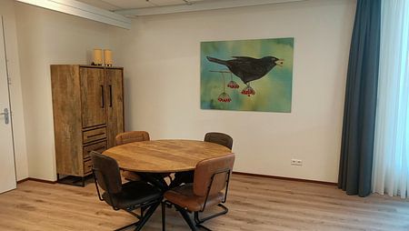 Blackbird on Gelderlander rose