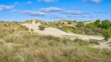 Paysage avec la dune depuis Amsterdam sur eric van der eijk