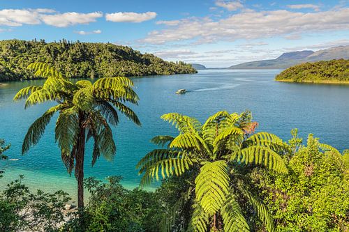 Dream vacation in New Zealand