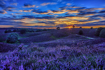 Zonsondergang op de Posbank