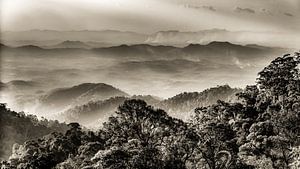 Panorama Regenwald in Genting Highlands in Malaysia in schwarz-weiss