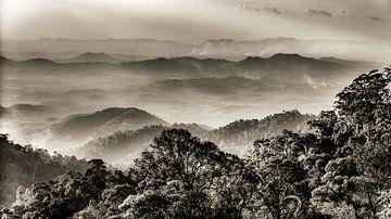 Panorama rainforest in Genting Highlands in Malaysia in black and white by Dieter Walther