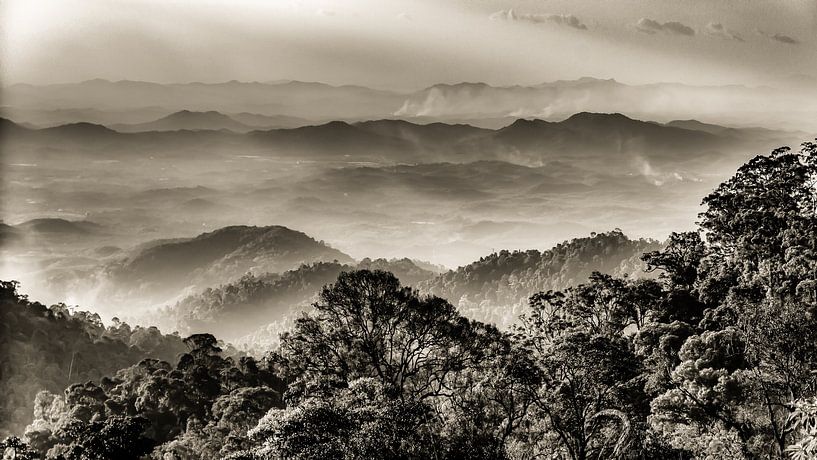 Panorama de la forêt tropicale dans les Genting Highlands en Malaisie en noir et blanc par Dieter Walther