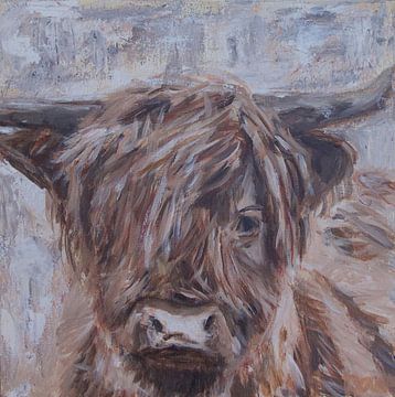 Portret van Schotse Hooglander, kleur van Mieke Daenen