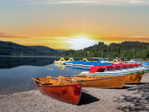Kust van de Titisee in het Zwarte Woud bij zonsondergang