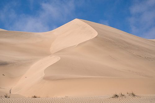 De hoge duinen zien er prachtig uit