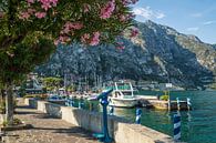 GARDASEE Hafen & Uferpromenade in Limone sul Garda  von Melanie Viola Miniaturansicht