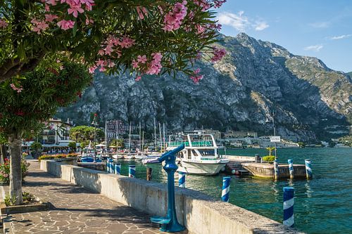 LAKE GARDA Harbour & Riverside in Limone sul Garda