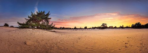 Panorama Aekingerzand