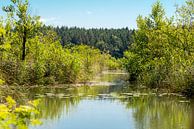 kleiner see in Bayern von Hans-Jürgen Janda Miniaturansicht