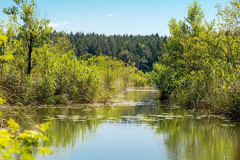 kleiner see in Bayern von Hans-Jürgen Janda