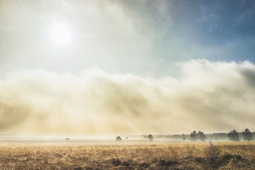 Sonne und Nebel in der Ginkelschen Heide 