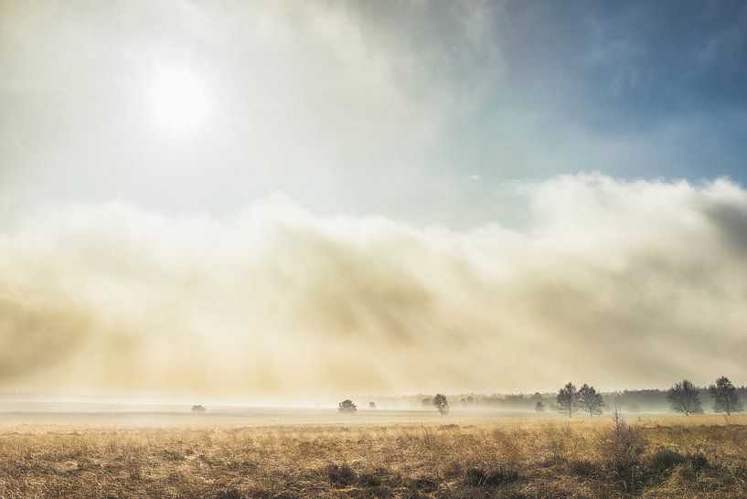 zon en mist op de Ginkelse heide  van Reno  van Dijk