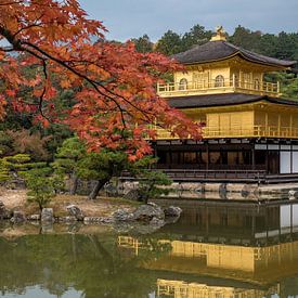 Herfst bij de Gouden Tempel in Kyoto, Japan van Frank den Hond