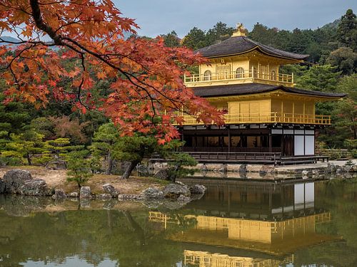 Herfst bij de Gouden Tempel in Kyoto, Japan