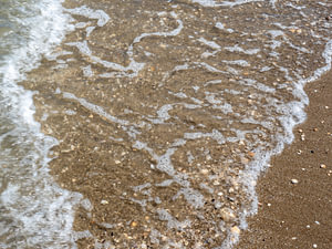 Welle am Strand mit Muscheln