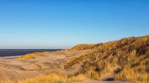 Duin, strand en zee by Bram van Broekhoven