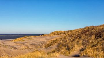 Duin, strand en zee